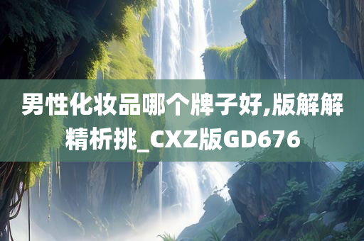 男性化妆品哪个牌子好,版解解精析挑_CXZ版GD676
