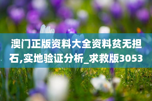 澳门正版资料大全资料贫无担石,实地验证分析_求救版3053