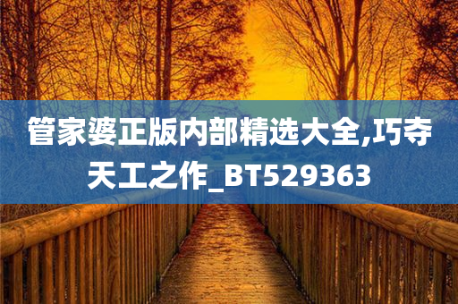 管家婆正版内部精选大全,巧夺天工之作_BT529363
