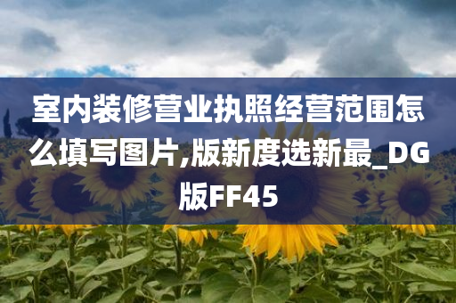 室内装修营业执照经营范围怎么填写图片,版新度选新最_DG版FF45