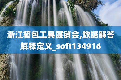 浙江箱包工具展销会,数据解答解释定义_soft134916