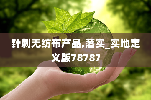 针刺无纺布产品,落实_实地定义版78787