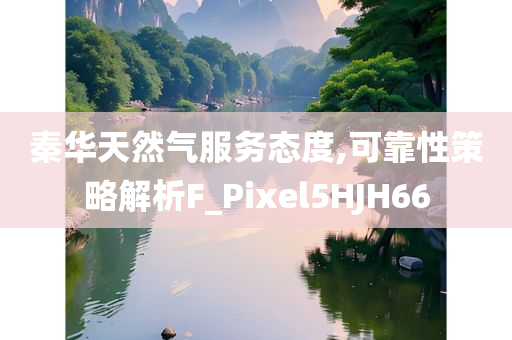 秦华天然气服务态度,可靠性策略解析F_Pixel5HJH66