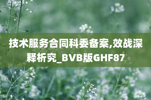 技术服务合同科委备案,效战深释析究_BVB版GHF87
