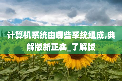 计算机系统由哪些系统组成,典解版新正实_了解版