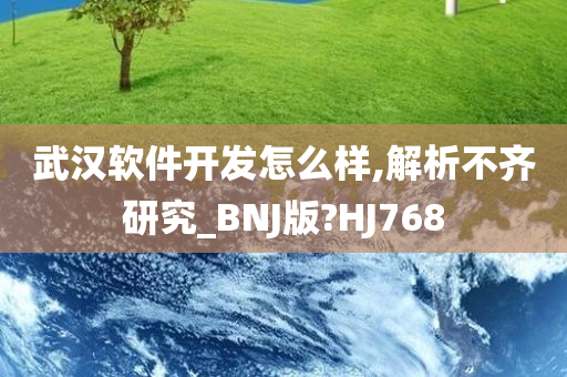 武汉软件开发怎么样,解析不齐研究_BNJ版?HJ768