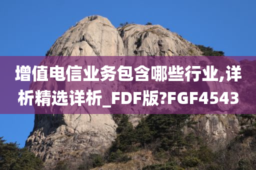 增值电信业务包含哪些行业,详析精选详析_FDF版?FGF4543