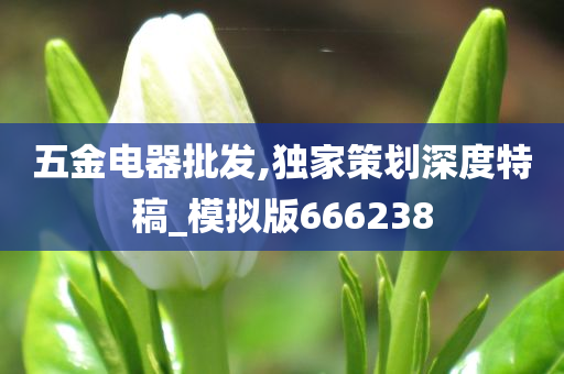 五金电器批发,独家策划深度特稿_模拟版666238