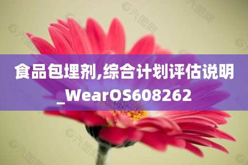 食品包埋剂,综合计划评估说明_WearOS608262