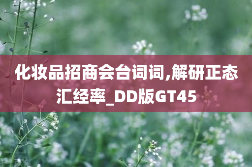 化妆品招商会台词词,解研正态汇经率_DD版GT45