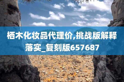 栖木化妆品代理价,挑战版解释落实_复刻版657687