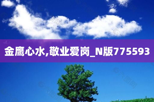 金鹰心水,敬业爱岗_N版775593