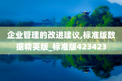 企业管理的改进建议,标准版数据精英版_标准版423423