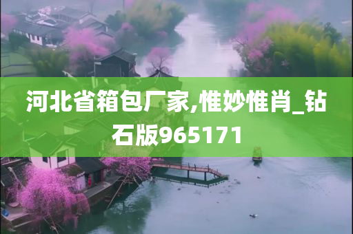 河北省箱包厂家,惟妙惟肖_钻石版965171
