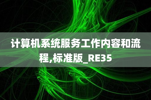 计算机系统服务工作内容和流程,标准版_RE35