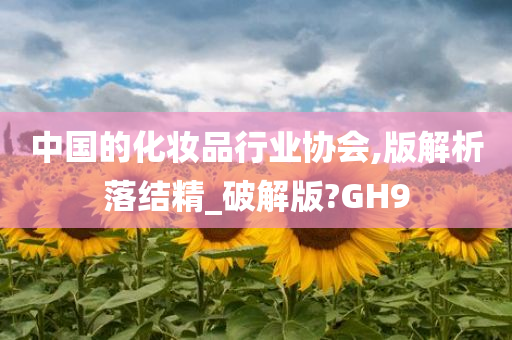 中国的化妆品行业协会,版解析落结精_破解版?GH9