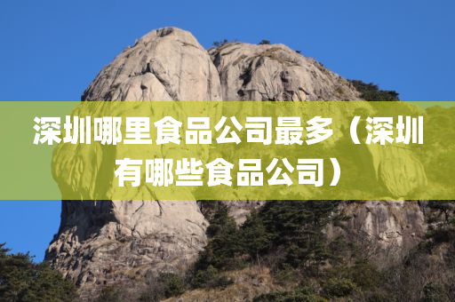 深圳哪里食品公司最多（深圳有哪些食品公司）