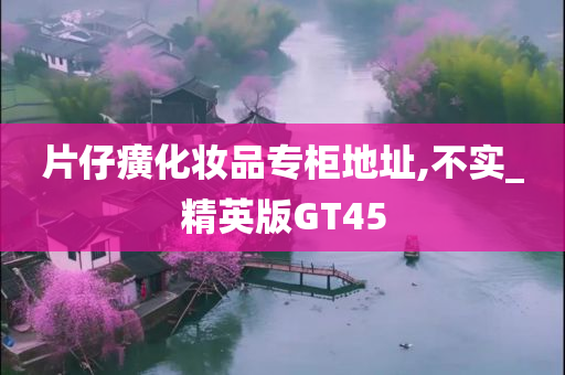 片仔癀化妆品专柜地址,不实_精英版GT45