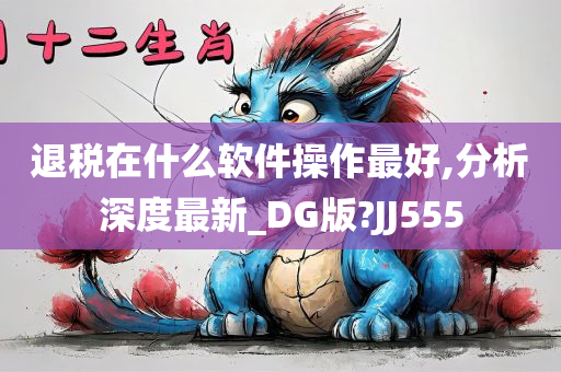 退税在什么软件操作最好,分析深度最新_DG版?JJ555