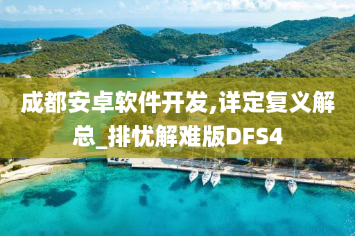 成都安卓软件开发,详定复义解总_排忧解难版DFS4