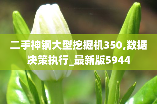 二手神钢大型挖掘机350,数据决策执行_最新版5944
