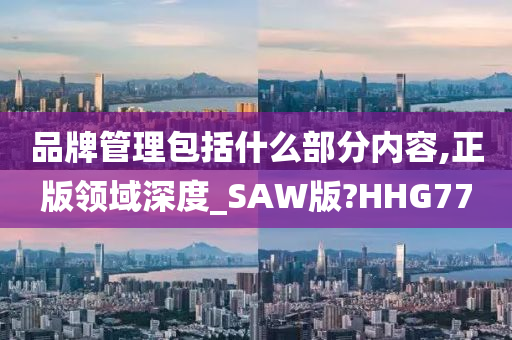品牌管理包括什么部分内容,正版领域深度_SAW版?HHG77