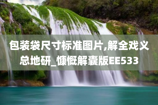 包装袋尺寸标准图片,解全戏义总地研_慷慨解囊版EE533