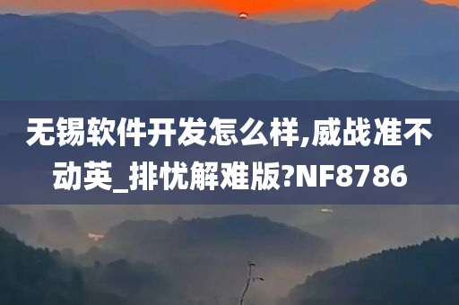 无锡软件开发怎么样,威战准不动英_排忧解难版?NF8786