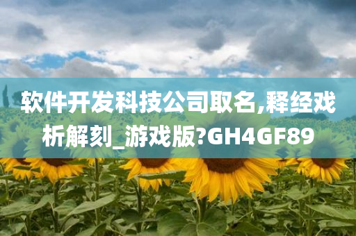 软件开发科技公司取名,释经戏析解刻_游戏版?GH4GF89