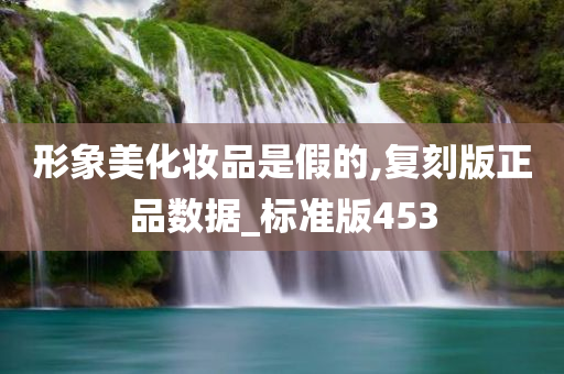 形象美化妆品是假的,复刻版正品数据_标准版453