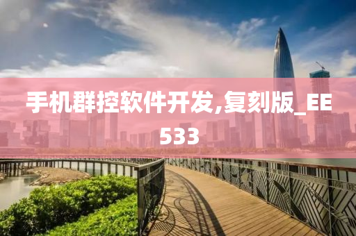 手机群控软件开发,复刻版_EE533