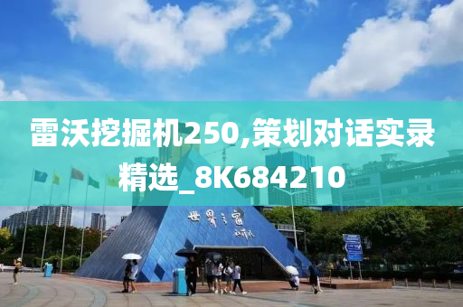 雷沃挖掘机250,策划对话实录精选_8K684210