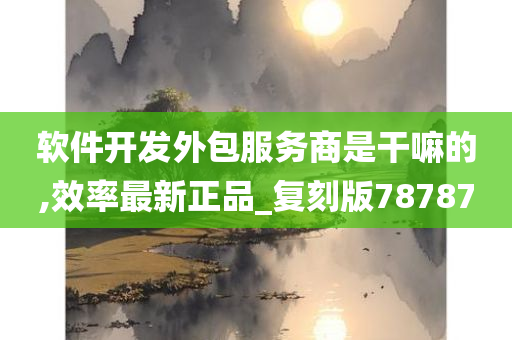 软件开发外包服务商是干嘛的,效率最新正品_复刻版78787