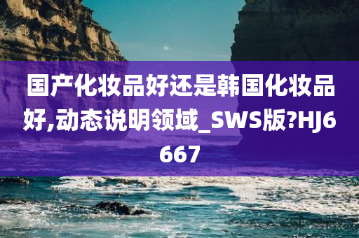 国产化妆品好还是韩国化妆品好,动态说明领域_SWS版?HJ6667