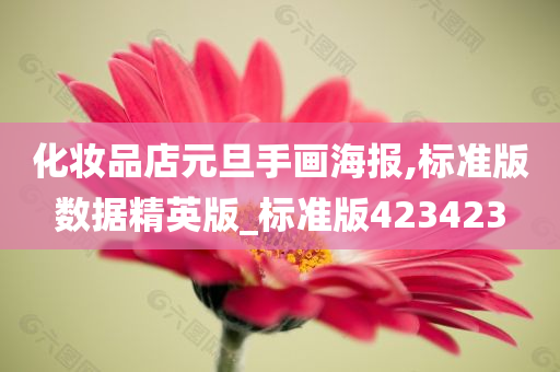 化妆品店元旦手画海报,标准版数据精英版_标准版423423