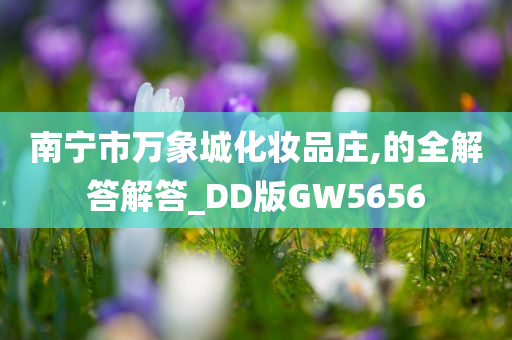 南宁市万象城化妆品庄,的全解答解答_DD版GW5656