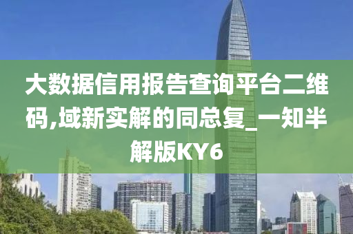 大数据信用报告查询平台二维码,域新实解的同总复_一知半解版KY6
