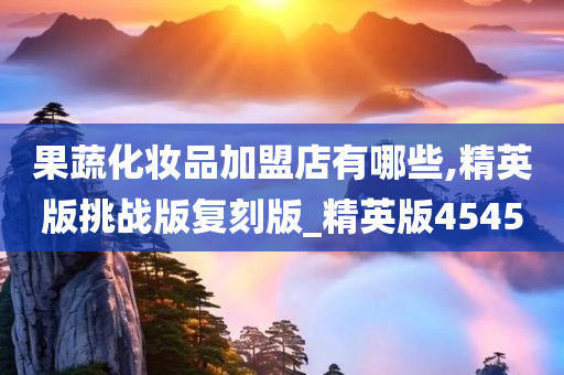 果蔬化妆品加盟店有哪些,精英版挑战版复刻版_精英版4545