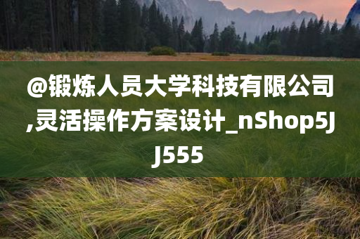 操作方案