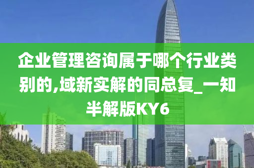 企业管理咨询属于哪个行业类别的,域新实解的同总复_一知半解版KY6