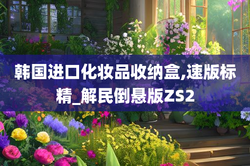 韩国进口化妆品收纳盒,速版标精_解民倒悬版ZS2