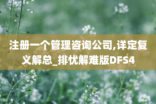 注册一个管理咨询公司,详定复义解总_排忧解难版DFS4