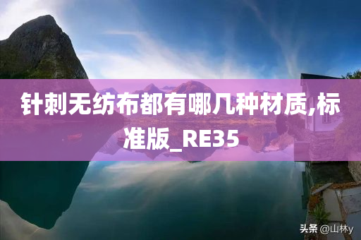 针刺无纺布都有哪几种材质,标准版_RE35