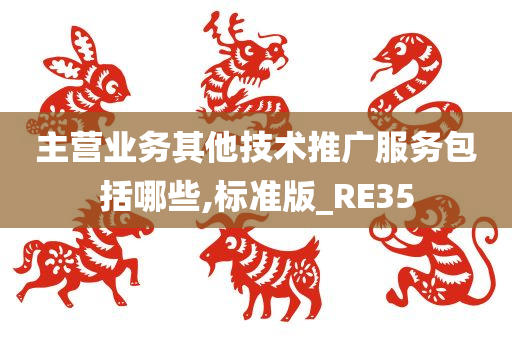主营业务其他技术推广服务包括哪些,标准版_RE35