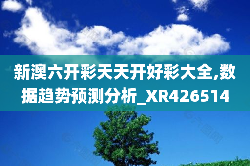 新澳六开彩天天开好彩大全,数据趋势预测分析_XR426514