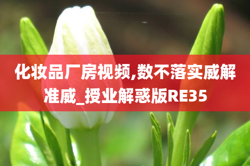化妆品厂房视频,数不落实威解准威_授业解惑版RE35