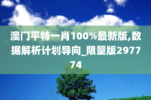 澳门平特一肖100%最新版,数据解析计划导向_限量版297774