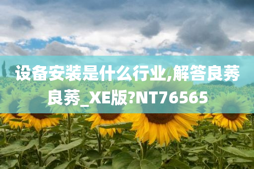 设备安装是什么行业,解答良莠良莠_XE版?NT76565