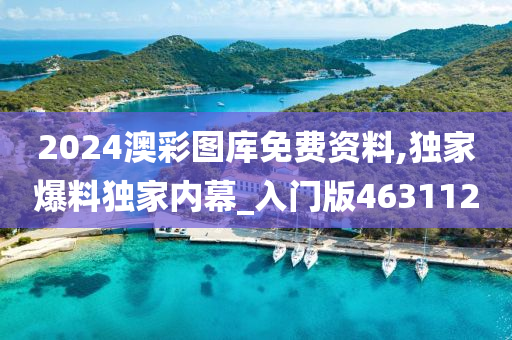 2024澳彩图库免费资料,独家爆料独家内幕_入门版463112