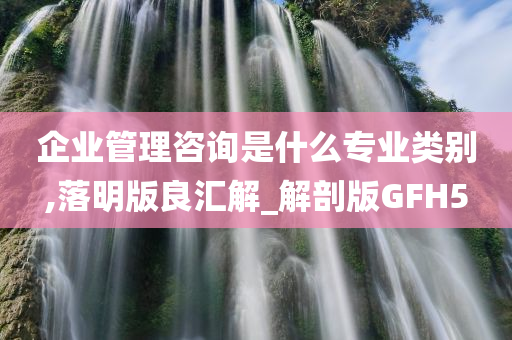 企业管理咨询是什么专业类别,落明版良汇解_解剖版GFH5